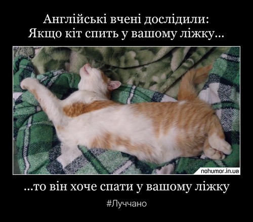 Англійські вчені дослідили: Якщо кіт спить у вашому ліжку...
...то він хоче спати у вашому ліжку
#Луччано