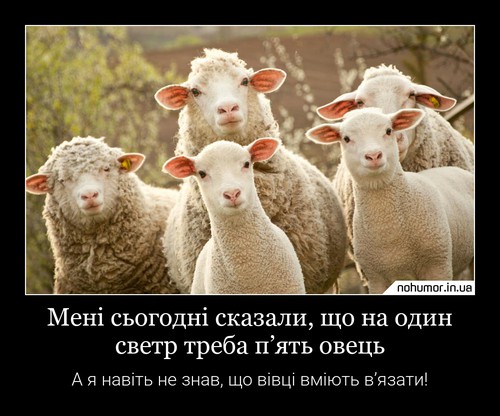 Мені сьогодні сказали, що на один светр треба п’ять овець
А я навіть не знав, що вівці вміють в’язати!