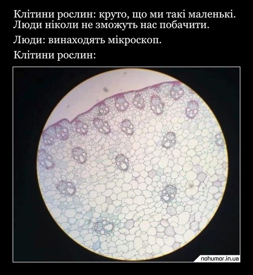 Клітини рослин: круто, що ми такі маленькі. Люди ніколи не зможуть нас побачити. Люди: винаходять мікроскоп. Клітини рослин: :o