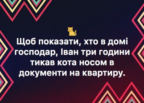 Щоб показати, хто в домі господар, Іван три години тикав кота носом в документи на квартиру