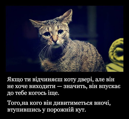 Якщо ти відчиняєш коту двері, але він не хоче виходити — значить, він впускає до тебе когось іще. Того, на кого він дивитиметься вночі, втупившись у порожній кут.