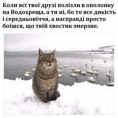 Коли всі твої друзі полізли в ополонку на Водохреща, а ти ні, бо то все дикість і середньовіччя, а наспраді просто боїшся, що твій хвостик змерзне.