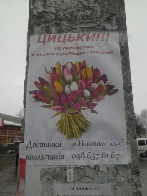 Цицьки! не пропонуємо. А от квіти з доставкою — запросто! Доставка тюльпанів, м. Нововолинськ