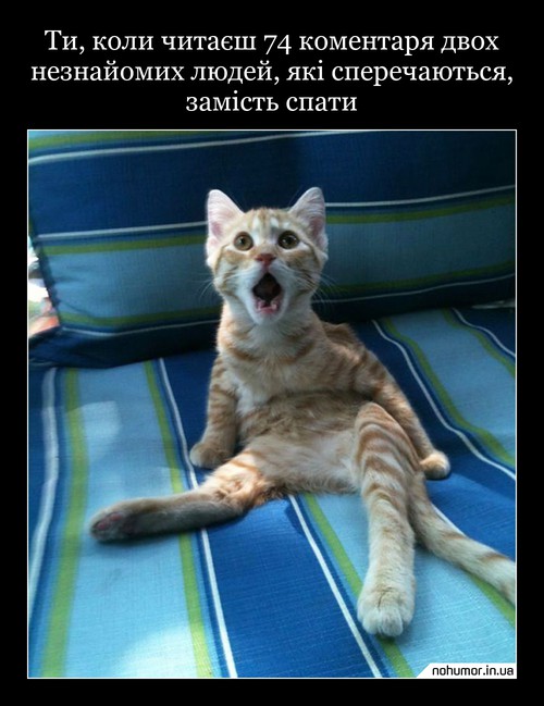 Ти, коли читаєш 74 коментаря двох незнайомих людей, які сперечаються, замість спати