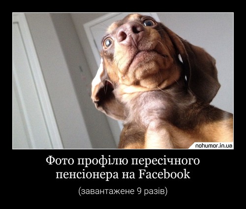 Фото профілю пересічного пенсіонера на Facebook
(завантажене 9 разів)