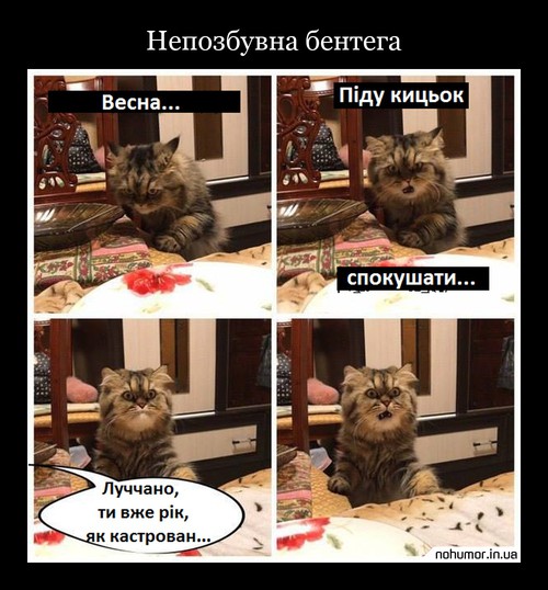 Непозбувна бентега