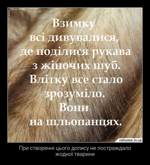 При створенні цього допису не постраждало жодної тварини