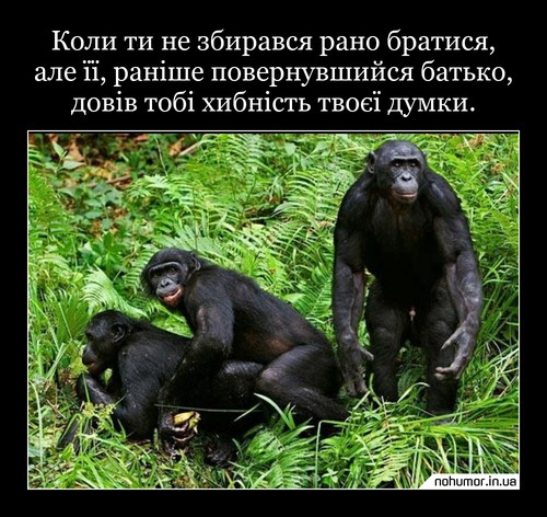 Коли ти не збирався рано братися, але її, раніше повернувшийся батько, довів тобі хибність твоєї думки.