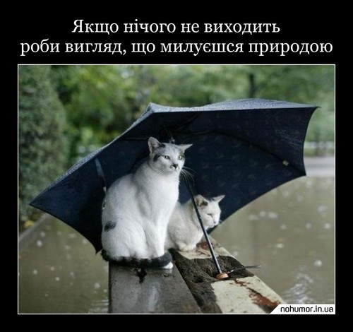 Якщо нічого не виходить роби вигляд, що милуєшся природою