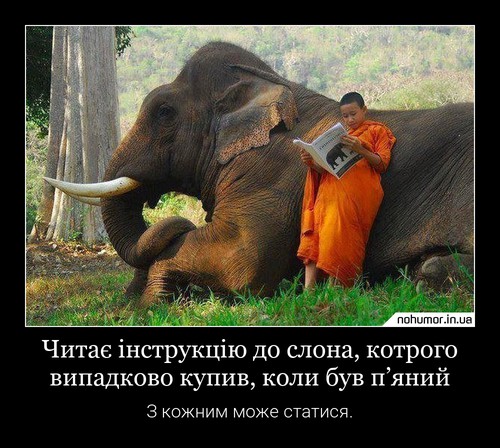 Читає інструкцію до слона, котрого випадково купив, коли був п’яний
З кожним може статися.