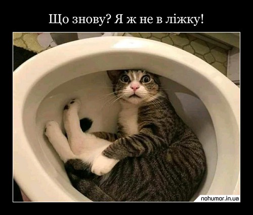 Що знову? Я ж не в ліжку!