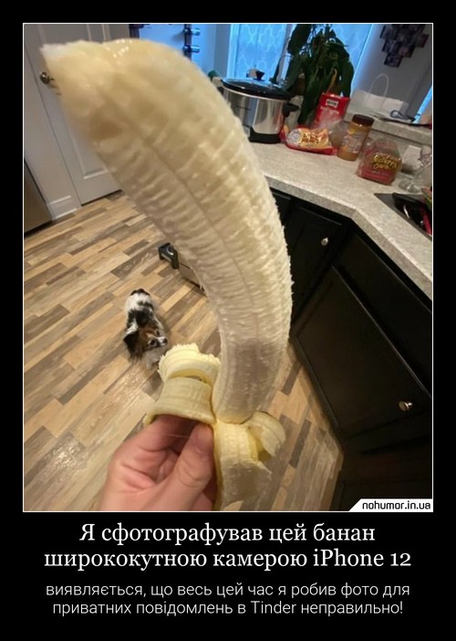 Я сфотографував цей банан ширококутною камерою iPhone 12
виявляється, що весь цей час я робив фото для приватних повідомлень в Tinder неправильно!