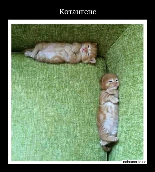 Котангенс