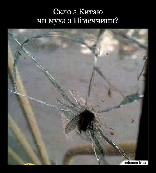Скло з Китаю чи муха з Німеччини?