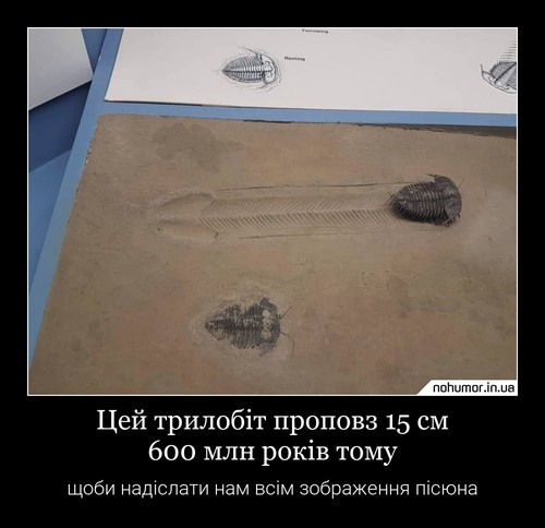 Цей трилобіт проповз 15 см 600 млн років тому
щоби надіслати нам всім зображення пісюна