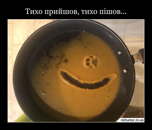 Тихо прийшов, тихо пішов...
