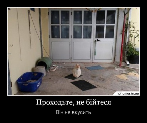Проходьте, не бійтеся
Він не вкусить
