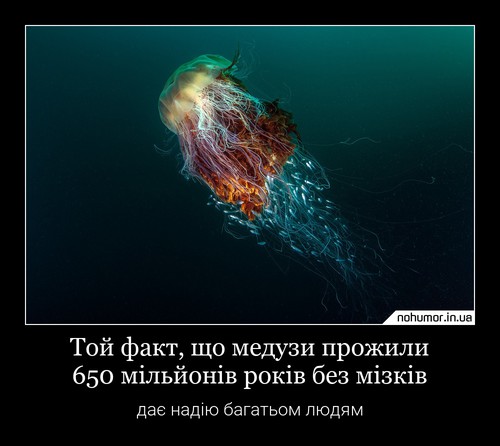 Той факт, що медузи прожили 650 мільйонів років без мізків
дає надію багатьом людям