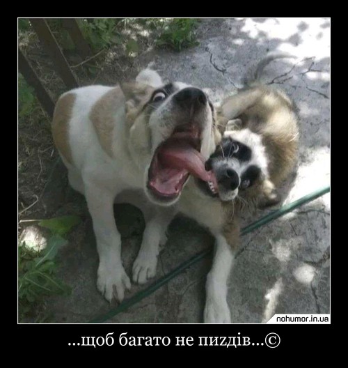 ...щоб багато не пиzдів...©