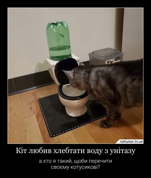 Кіт любив хлебтати воду з унітазу
а хто я такий, щоби перечити своєму котусикові?