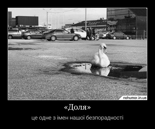 «Доля»
це одне з імен нашої безпорадності