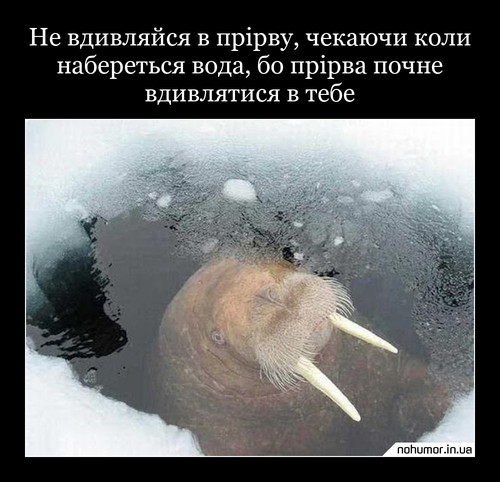 Не вдивляйся в прірву, чекаючи коли набереться вода, бо прірва почне вдивлятися в тебе