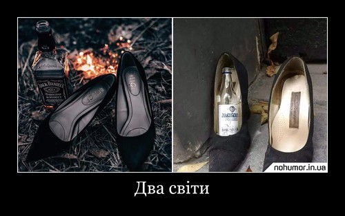 Два світи