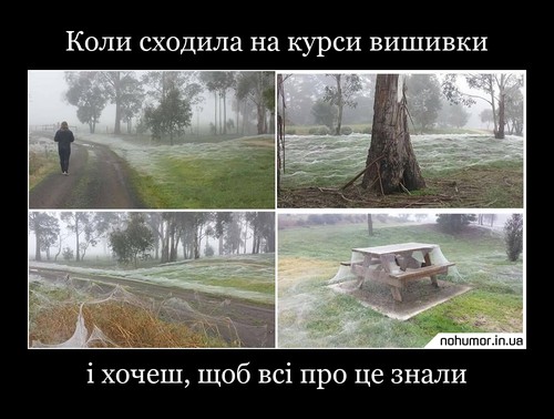 Коли сходила на курси вишивки
і хочеш, щоб всі про це знали