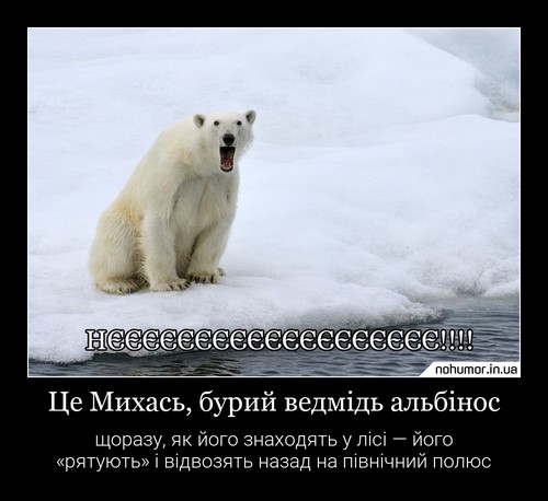 Нєєєєєєє!!!
Це Михась, бурий ведмідь альбінос
щоразу, як його знаходять у лісі — його «рятують» і відвозять назад на північний полюс