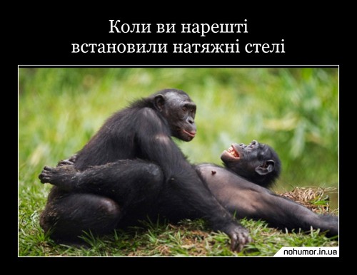 Коли ви нарешті встановили натяжні стелі