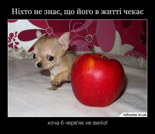 Ніхто не знає, що його в житті чекає
хоча б черв'як не виліз!