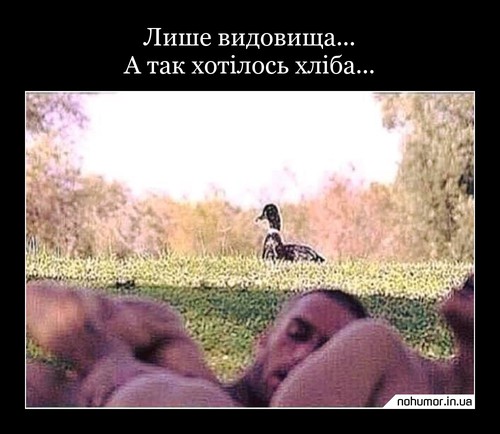 Лише видовища... А так хотілось хліба...