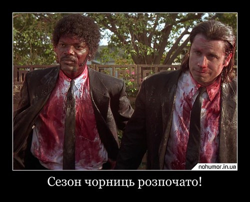 Сезон чорниць розпочато!