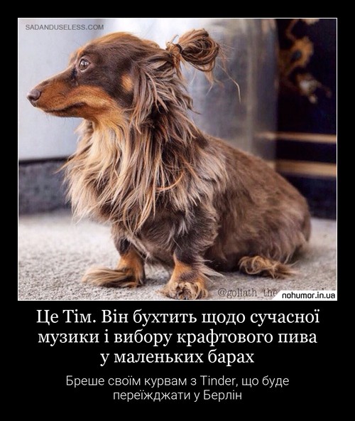 Це Тім. Він бухтить щодо сучасної музики і вибору крафтового пива у маленьких барах
Бреше своїм курвам з Tinder, що буде переїжджати у Берлін