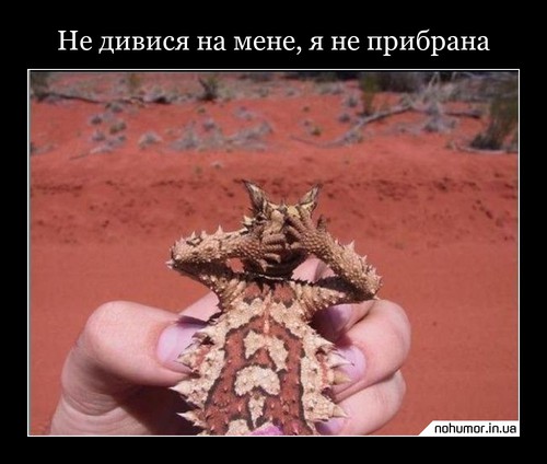 Не дивися на мене, я не прибрана