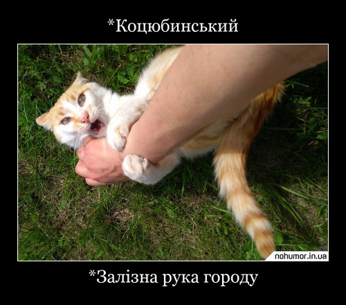 *Коцюбинський
*Залізна рука городу