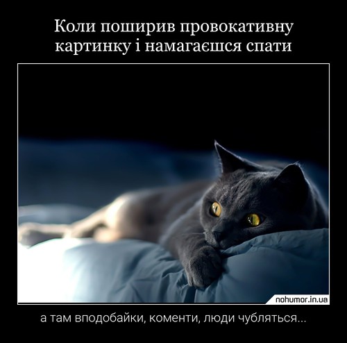 Коли поширив провокативну картинку і намагаєшся спати
а там вподобайки, коменти, люди чубляться...