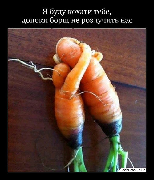 Я буду кохати тебе, допоки борщ не розлучить нас