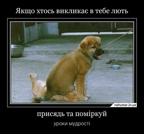 Якщо хтось викликає в тебе лють
присядь та поміркуй
уроки мудрості