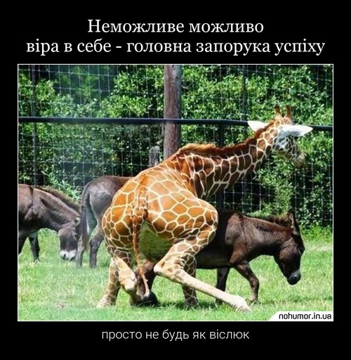 Неможливе можливо віра в себе - головна запорука успіху
просто не будь як віслюк