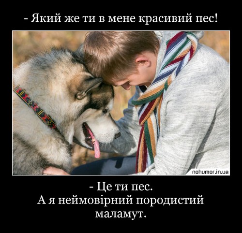 - Який же ти в мене красивий пес!
- Це ти пес. А я неймовірний породистий маламут.