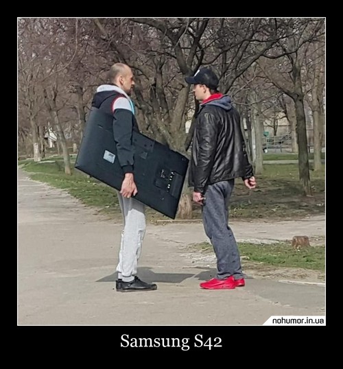 Samsung S42