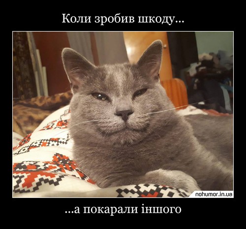 Коли зробив шкоду...
...а покарали іншого
