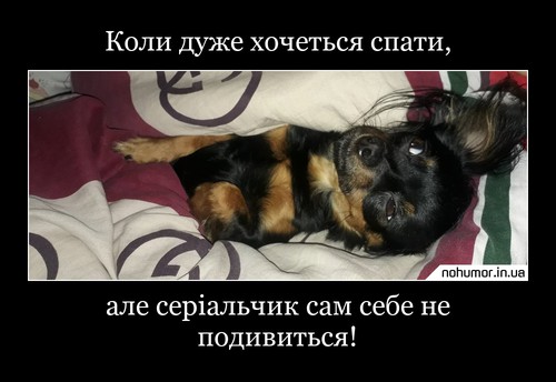 Коли дуже хочеться спати,
але серіальчик сам себе не подивиться!