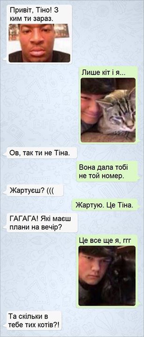 — Привіт, Тіно. З ким ти зараз? — Лише кіт і я... — Ов, так ти не Тіна. — Вона дала тобі не той номер. — Жартуєш? ((( — Жартую. Це Тіна. — ГАГАГА! Які маєш плани на вечір? — Це все ще я, ггг — Та скільки в тебе тих котів?