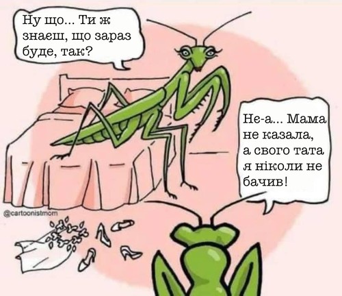 — Ну що, ти ж знаєш, що зараз буде, так? — Нє-а... Мама не казала, а свого тата я ніколи не бачив!