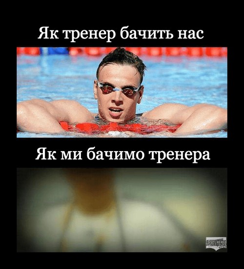 Як тренер бачить нас Як ми бачимо тренера